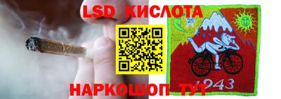 соль ск Новозыбков