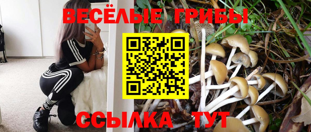 Галлюциногенные грибы мухоморы  Псилоцибиновые грибы Magic Shrooms  Вход с VPN  Тулун 