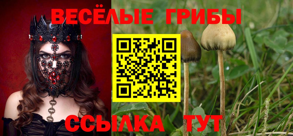 Галлюциногенные грибы GOLDEN TEACHER Тулун